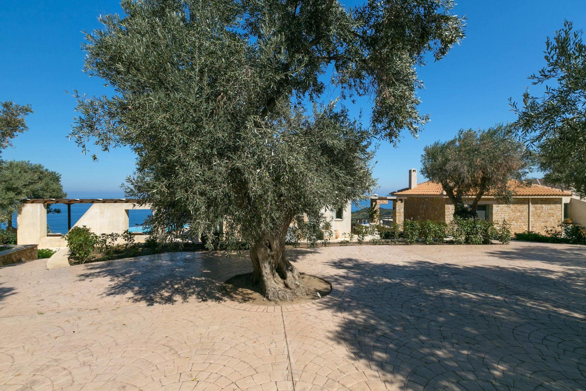 Olivia'S Villas Of Luxury Kalivia  Buitenkant foto